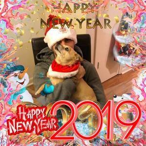 Meet your Posher, Paula